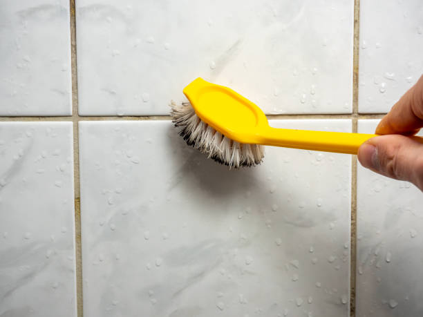 Best Water Damage Restoration  in Shirley, NY