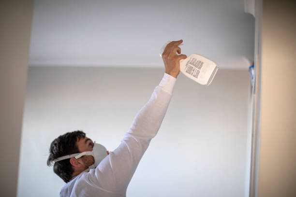 Best Home Mold Removal  in Shirley, NY